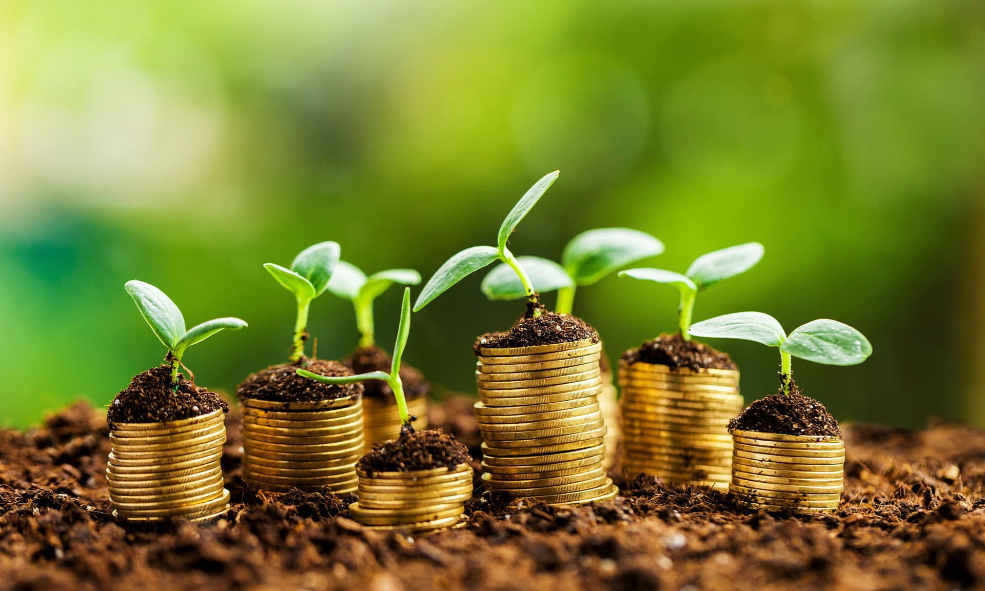 Loan Readiness vs. Credit Repair: What's the Difference?